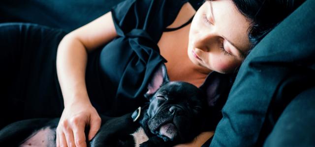 woman and black French bulldog sleeping on sofa by Rafal Jedrzejek courtesy of Unsplash.